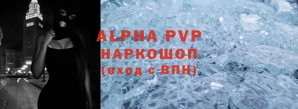 PSILOCYBIN Белокуриха