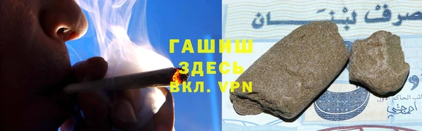 PSILOCYBIN Белокуриха