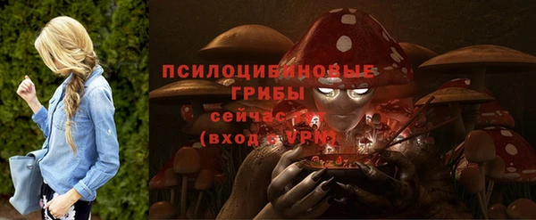 трава Беломорск