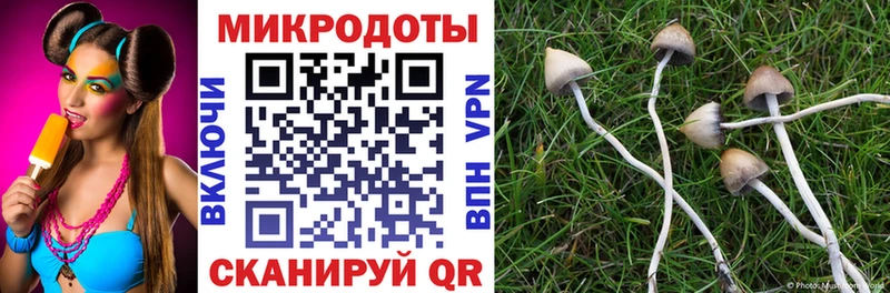 Галлюциногенные грибы ЛСД  Семикаракорск 