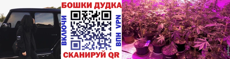 купить наркоту Семикаракорск Бошки Шишки OG Kush